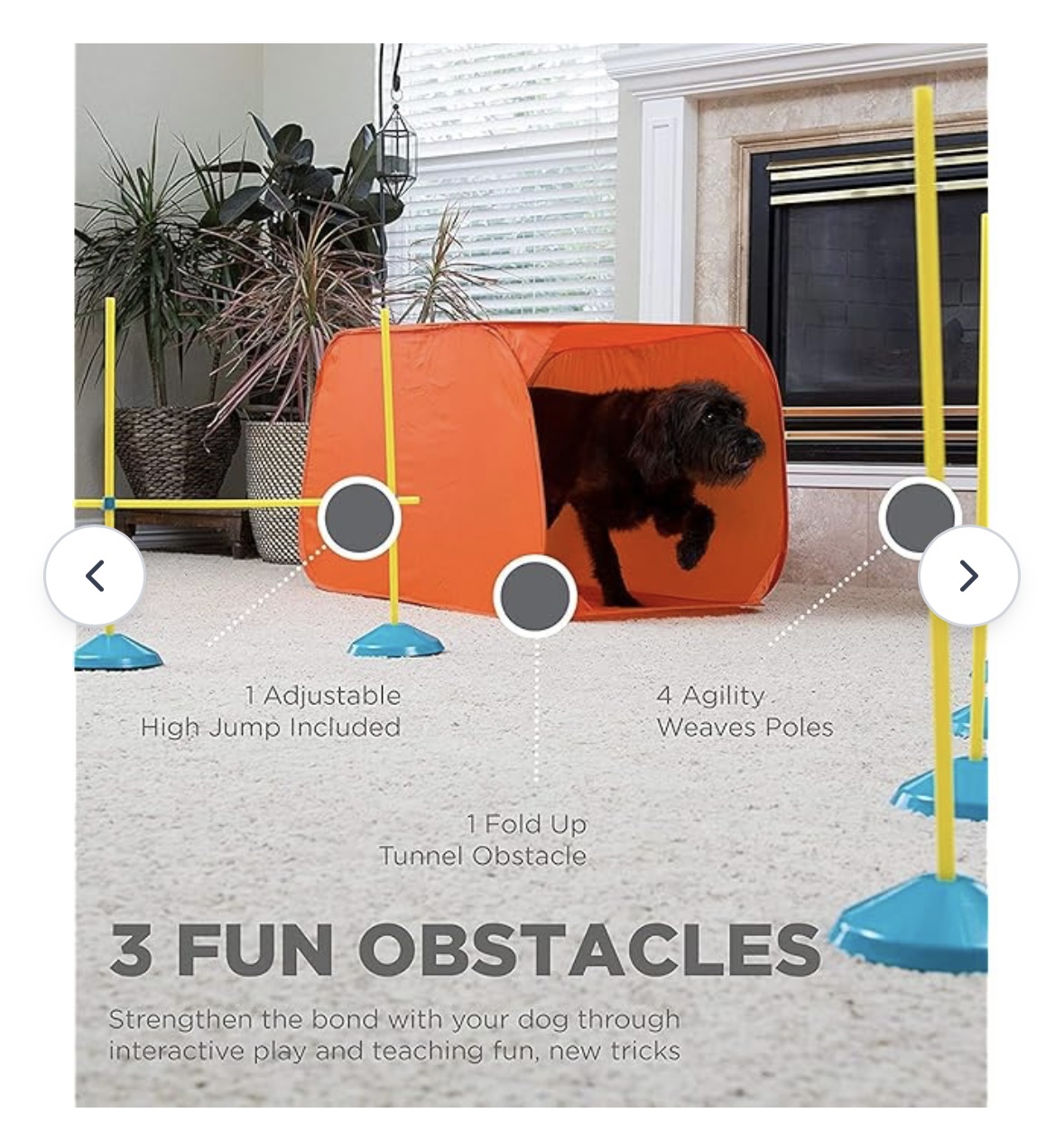 Outward Hound Zip & Zoom Indoor Agility Kit