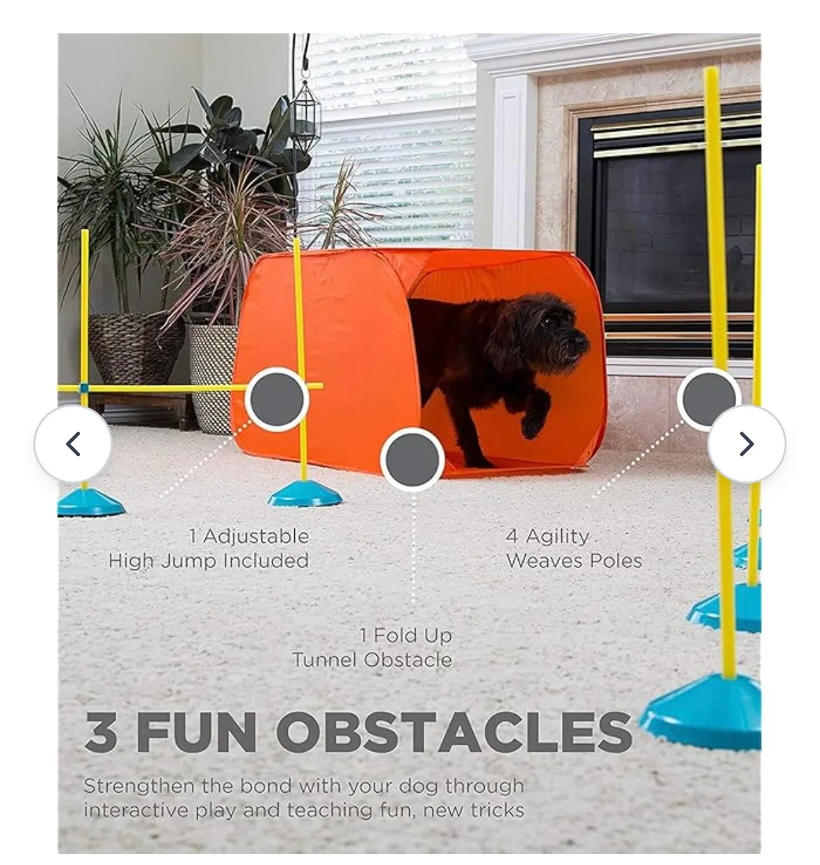 Outward Hound Zip & Zoom Indoor Agility Kit