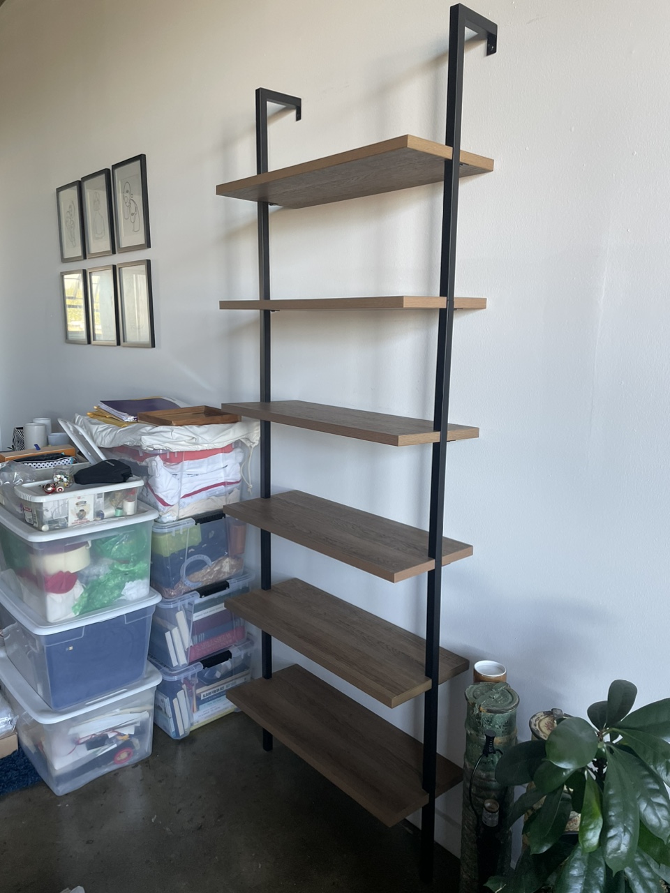 Ladder Shelf