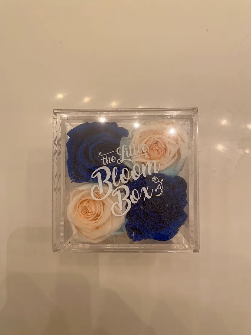 Little Bloom Box thumbnail