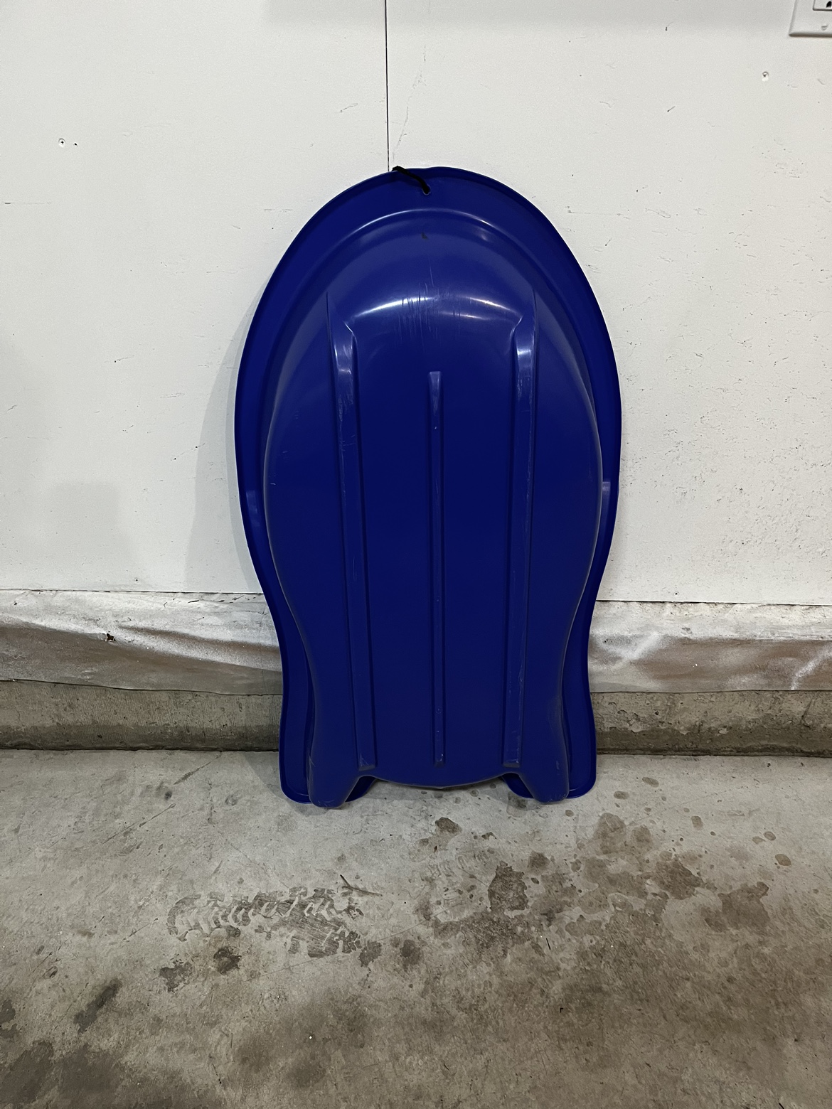 Blue Plastic Sled - photo 3