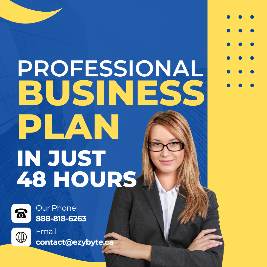 Get a Professional Business Plan in Just 48 Hours!