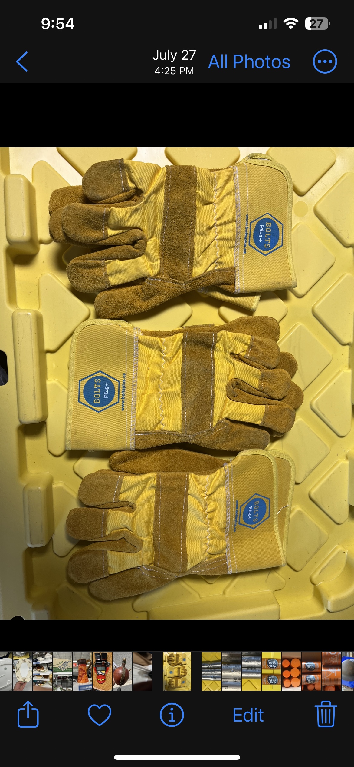 Pair of Work Gloves