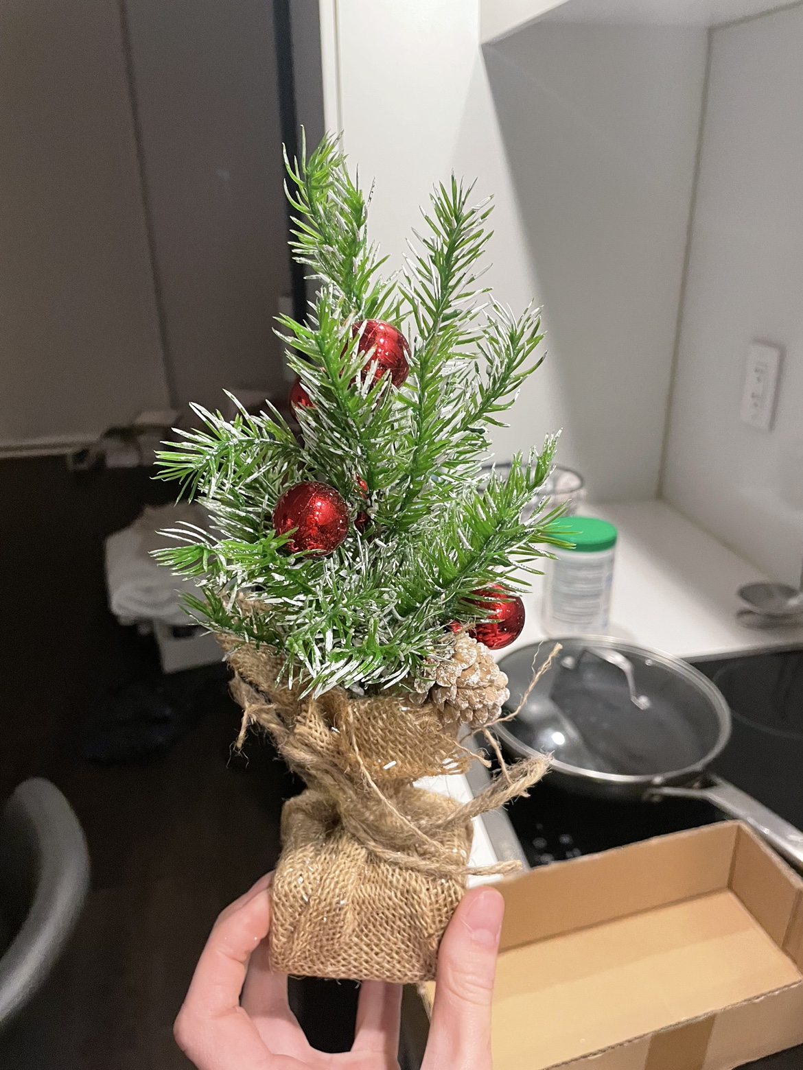 Brand new Mini Christmas Trees - photo 3