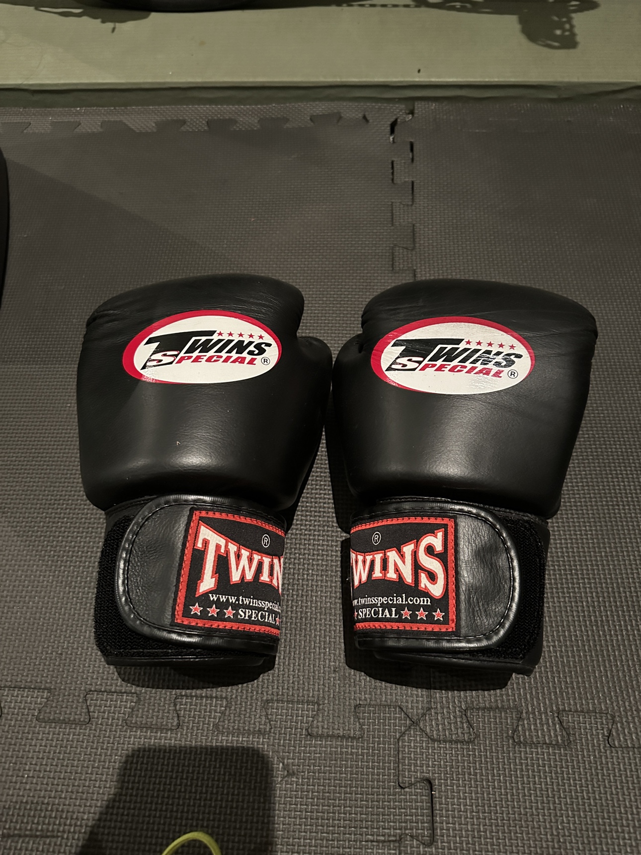 Twins Special Boxing Gloves