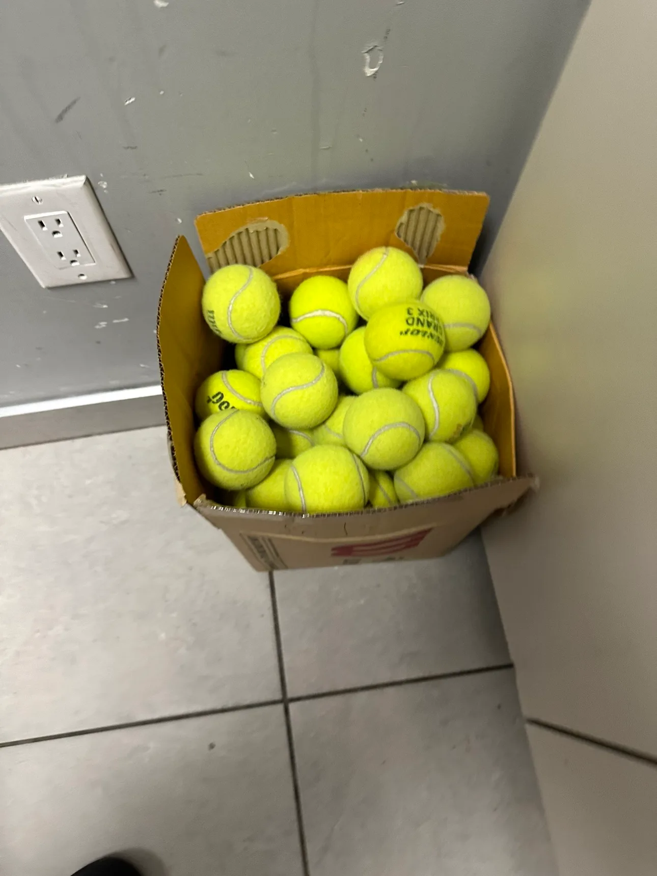Wilson Tennis Balls - 24 Pack image indicator(2)