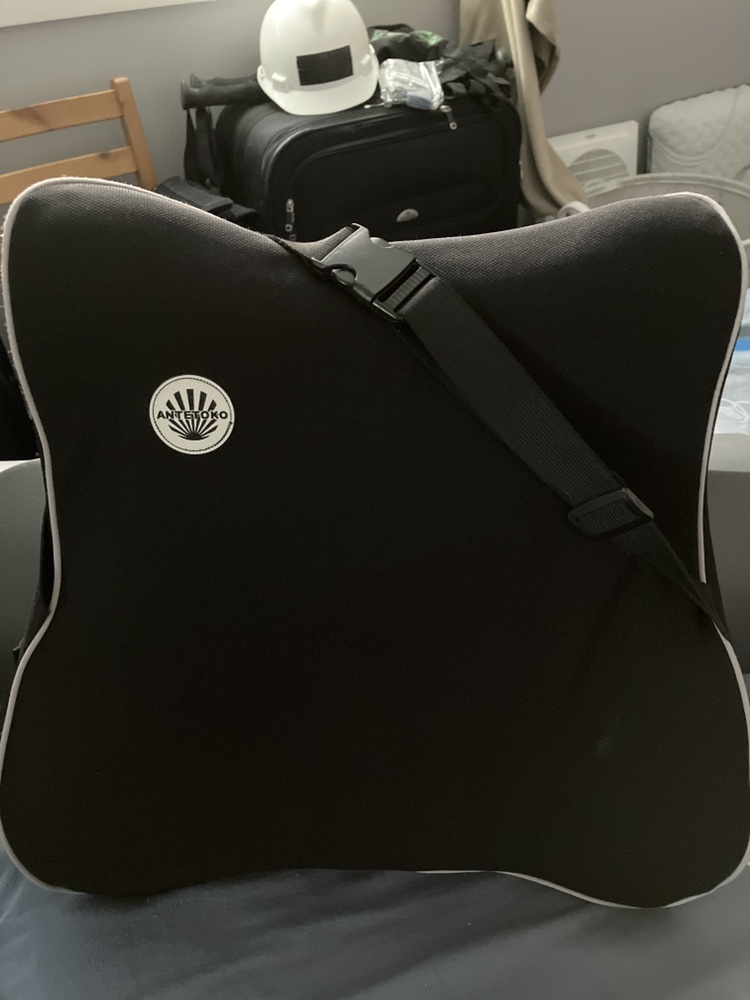 Anteojo Back Support Cushion