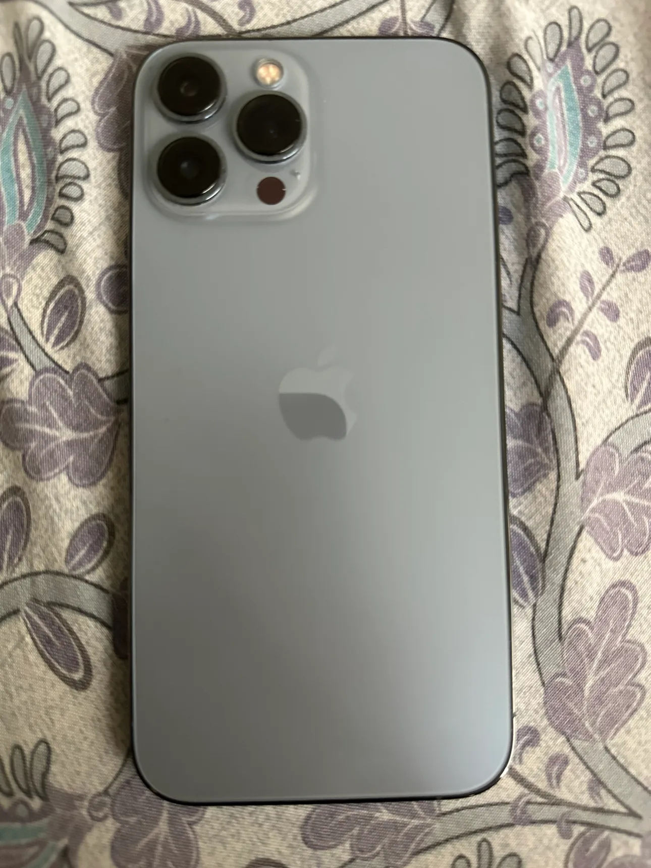 iPhone 13 Pro Max 256 GB thumbnail