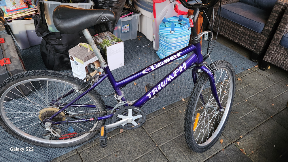 Bike 21" Youth - photo 4