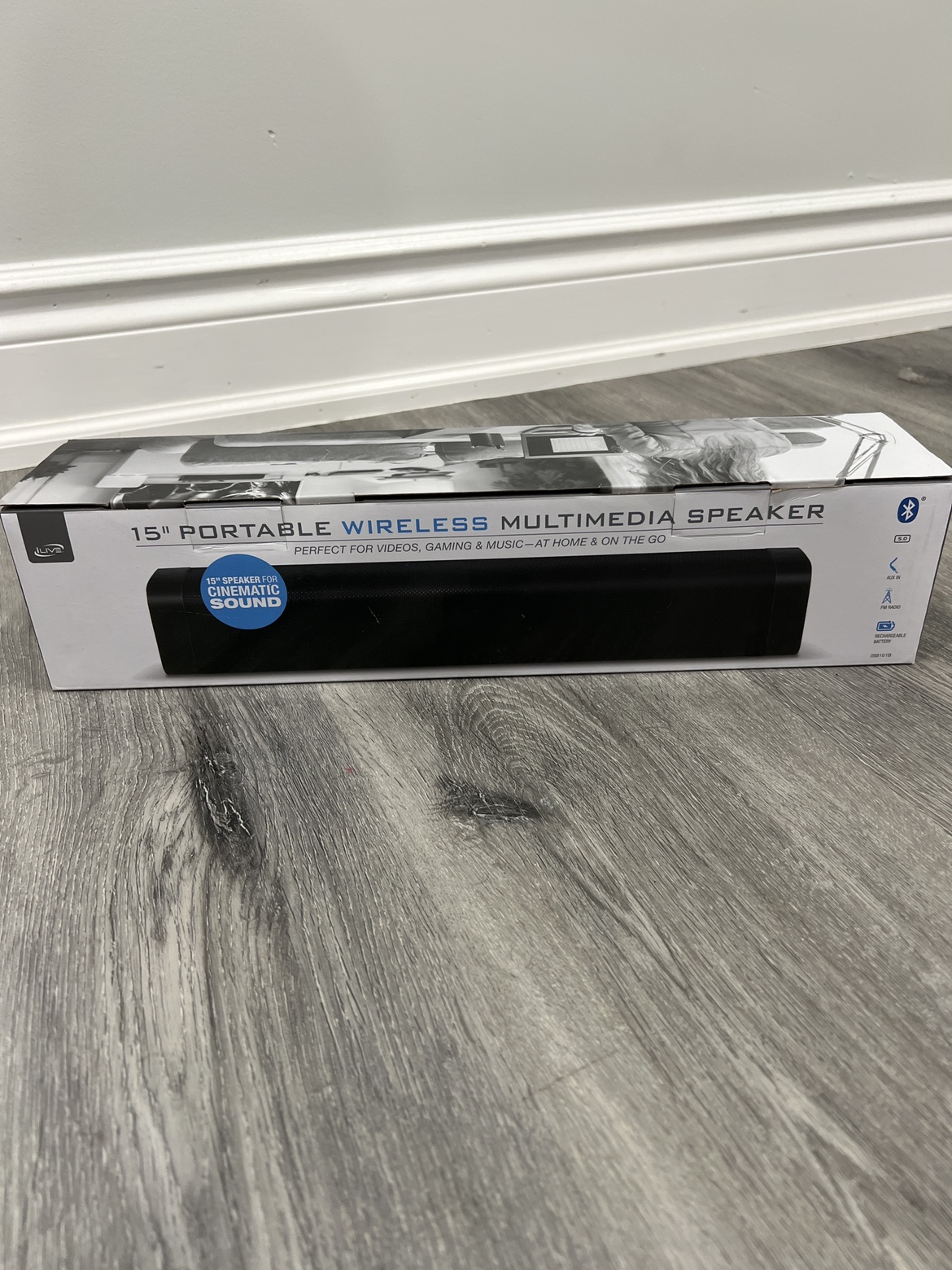 15" Portable Wireless Multimedia Speaker