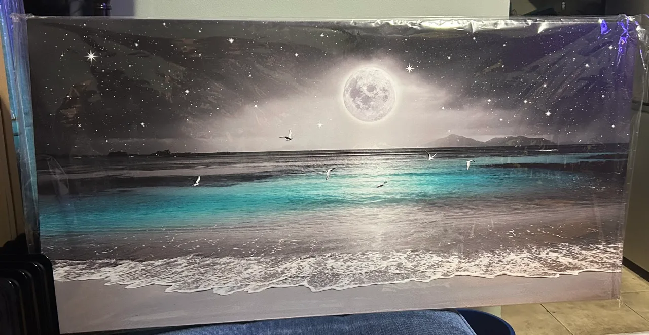 Starry Moonlight Ocean Canvas Wall Art (24”H x 48”W) thumbnail