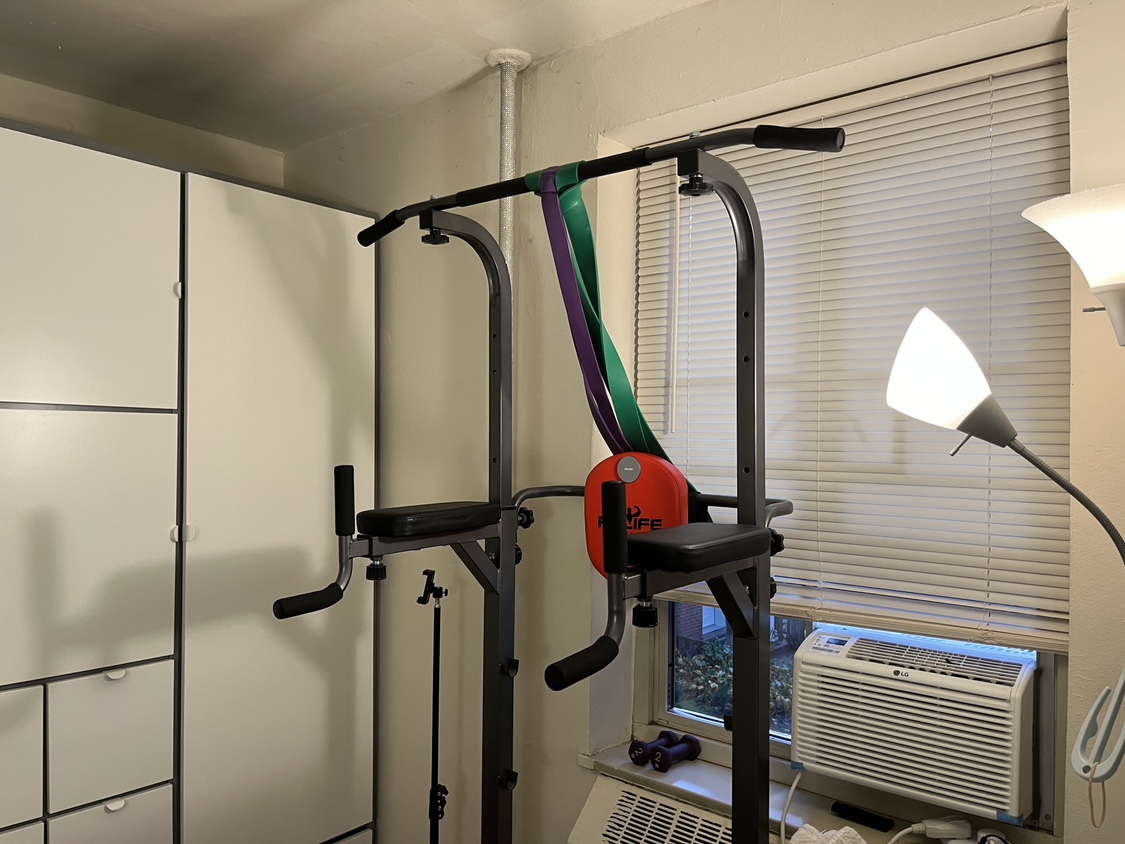 Pull Up Bar Dip Station