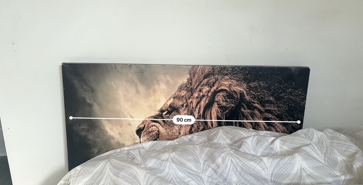 Lion Canvas Wall Art - photo 2