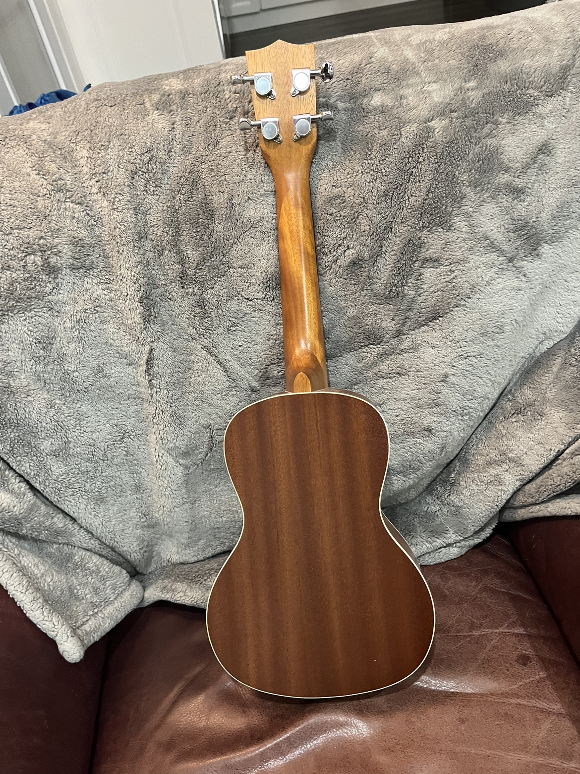 Kala Concert Ukulele with Levys Case and Capo - photo 2