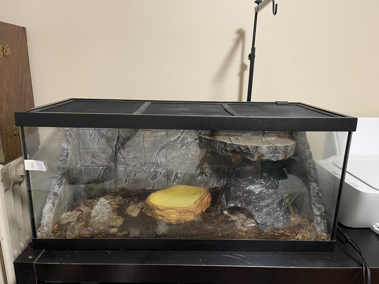 Reptile Tank and Accessories