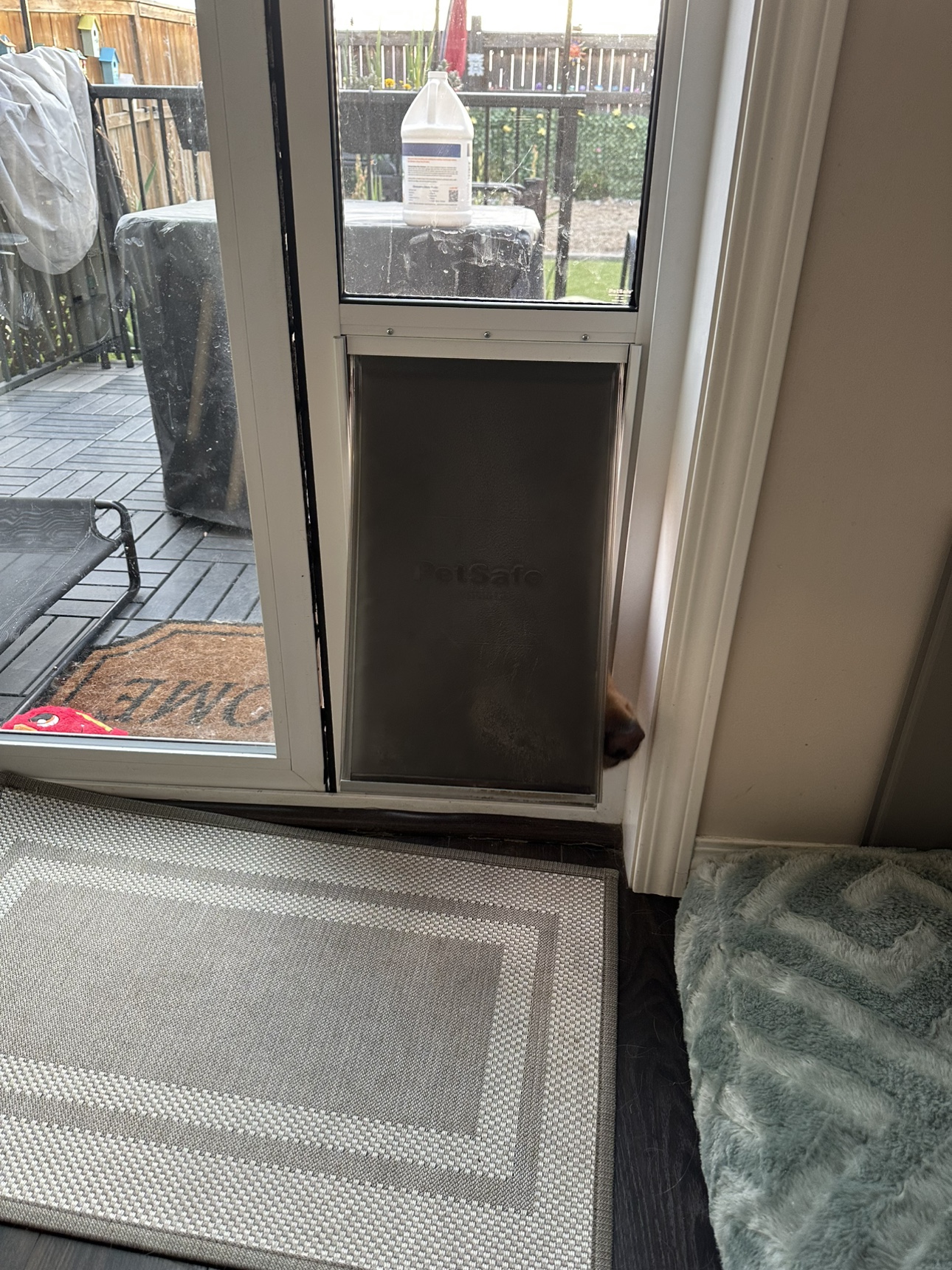 PetSafe Pet Door for Sliding Glass Doors - photo 2