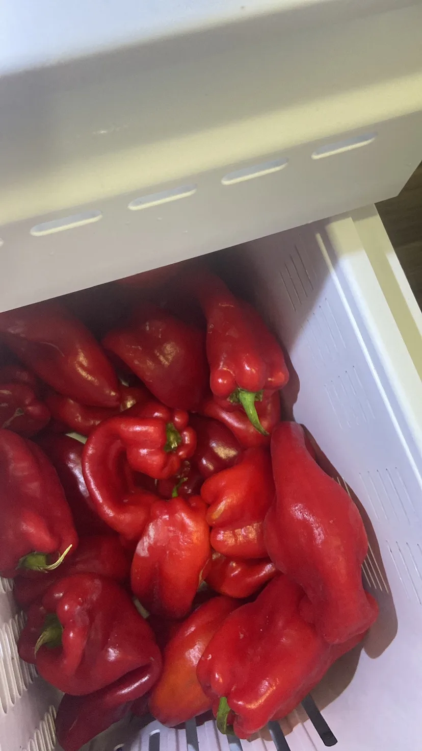 Red Bell Peppers thumbnail