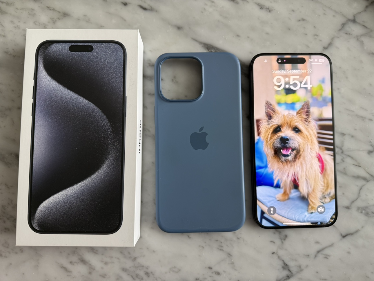 iPhone 15 Pro Max, 1TB, pacific blue, Apple Care,Magsafe Case