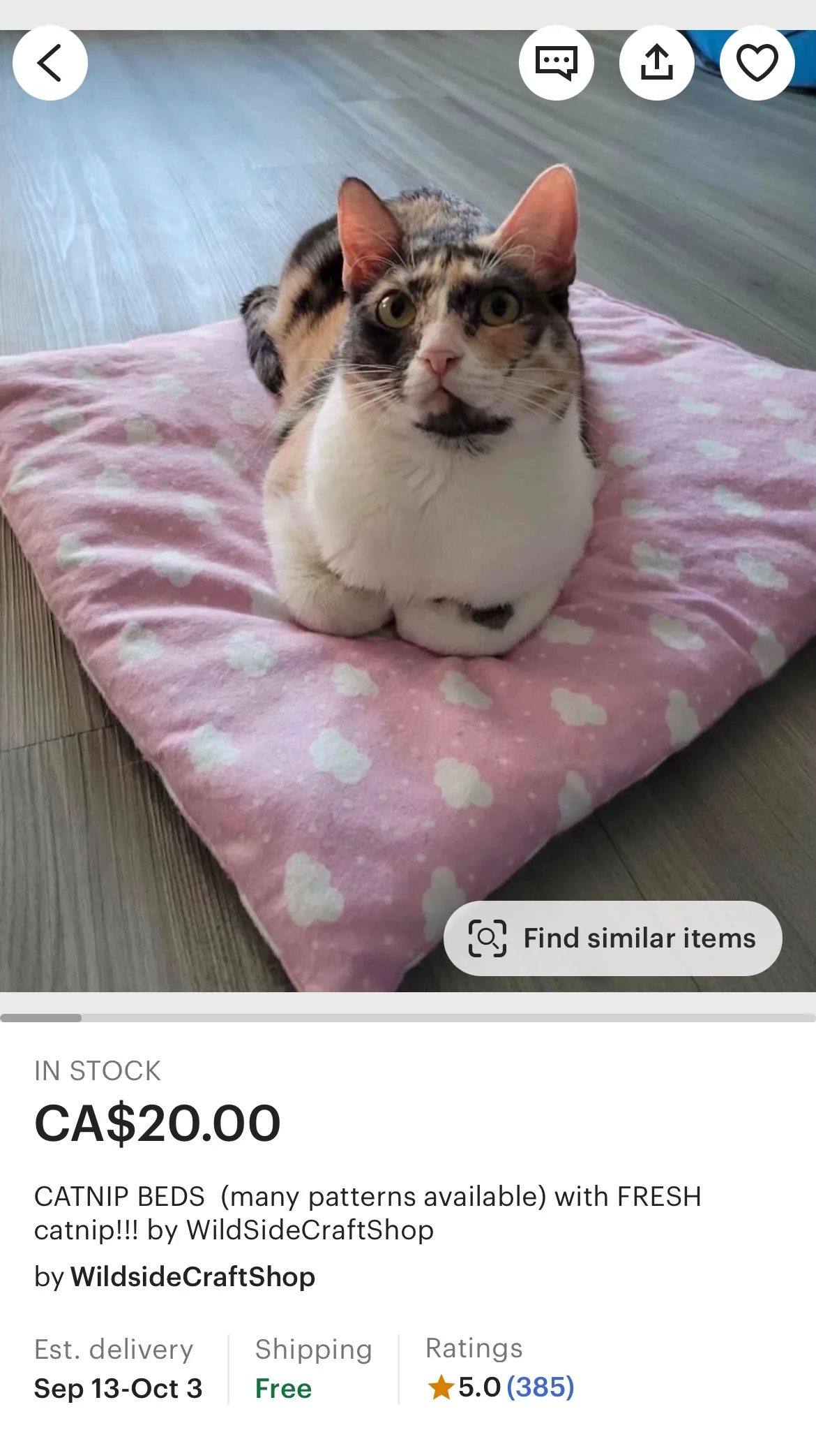 Catnip Bed thumbnail