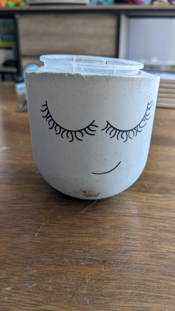 Cute Concrete Planter 🧡