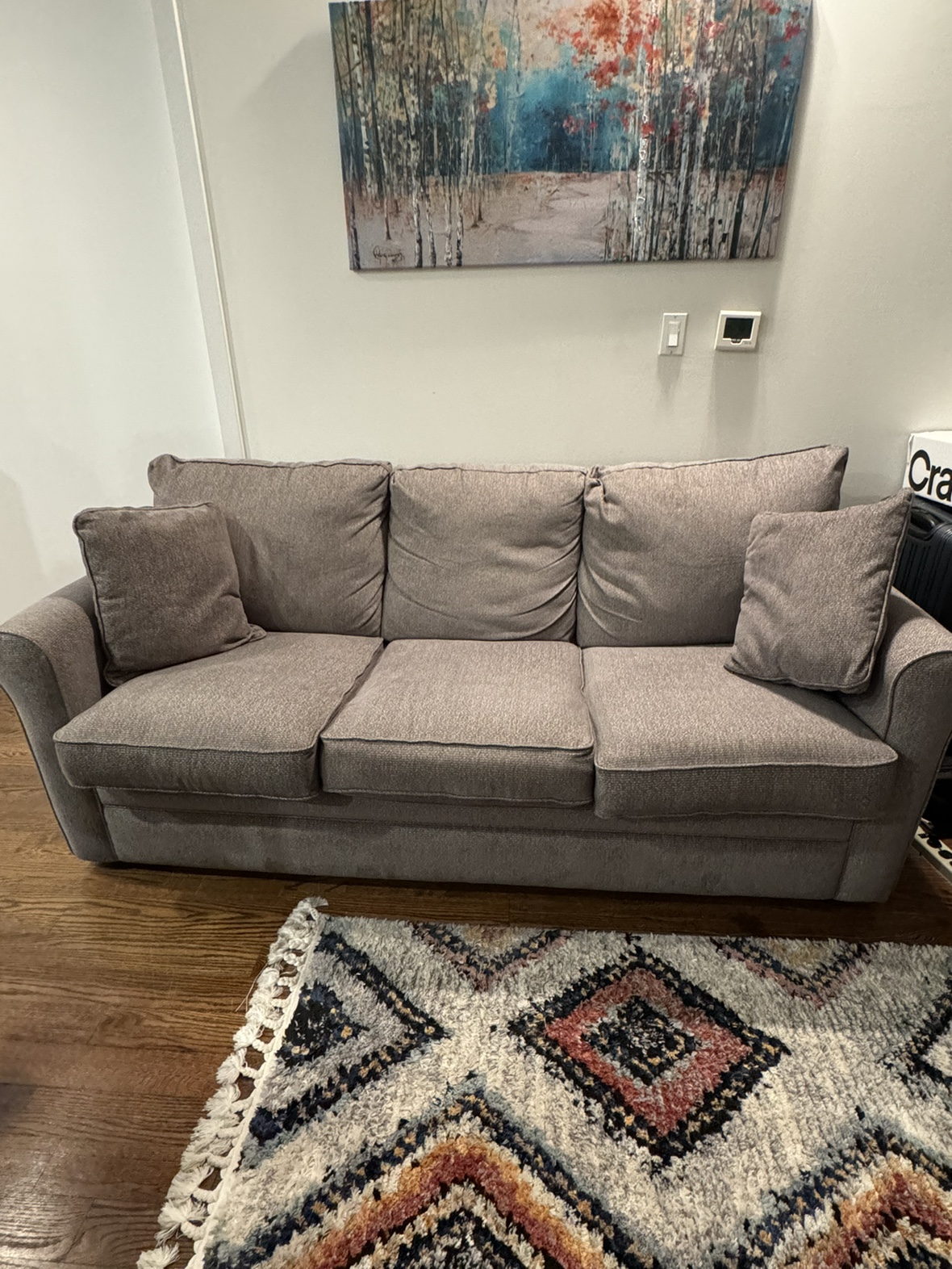La-Z-Boy Sofa Bed