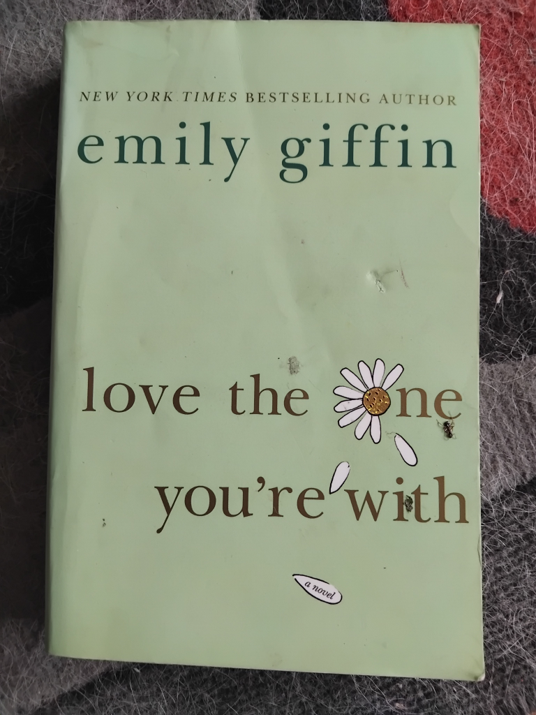 Emily Giffin Novels - Set of 5 - photo 3