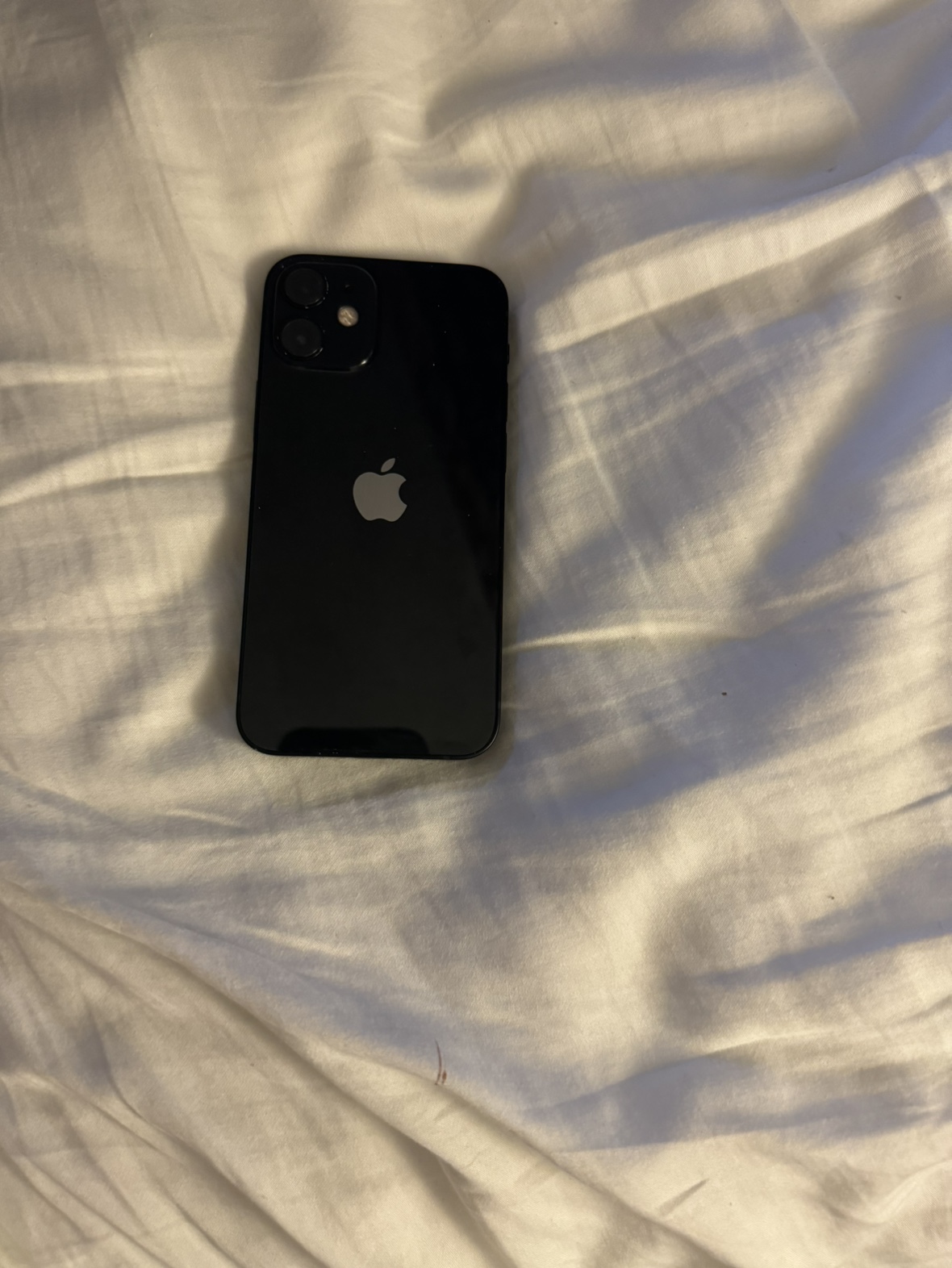 iPhone 12 mini - photo 2