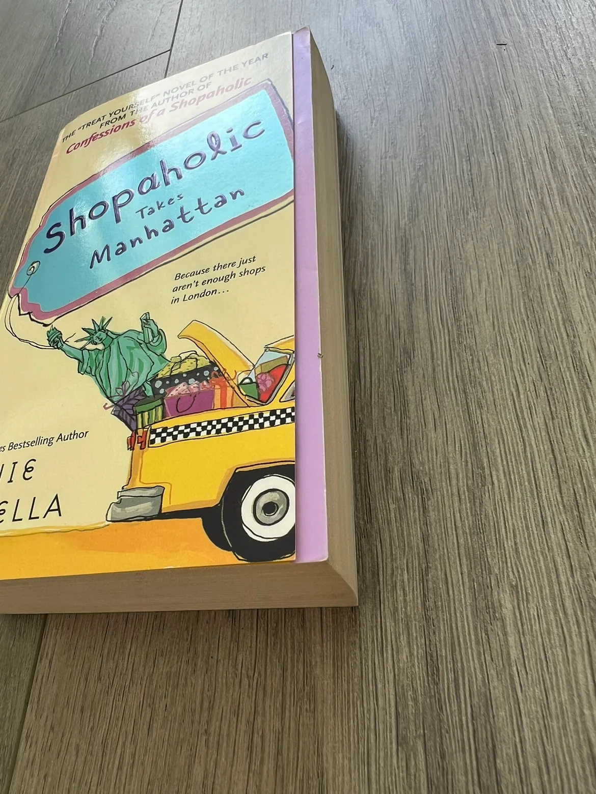 Shopaholic Takes Manhattan Book by Sophie Kinsella image indicator(5)