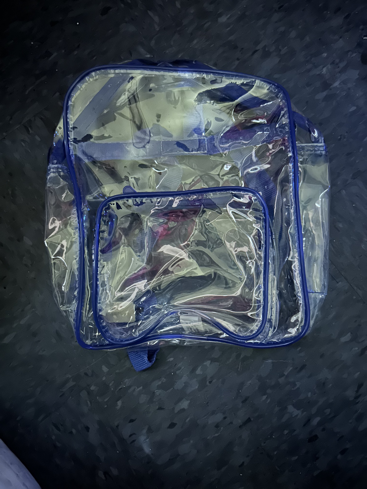 Lakeshore Clear Backpack
