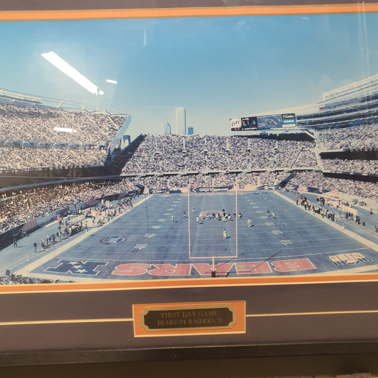 Chicago Bears vs Raiders (1st Day Game new stadium) - photo 4