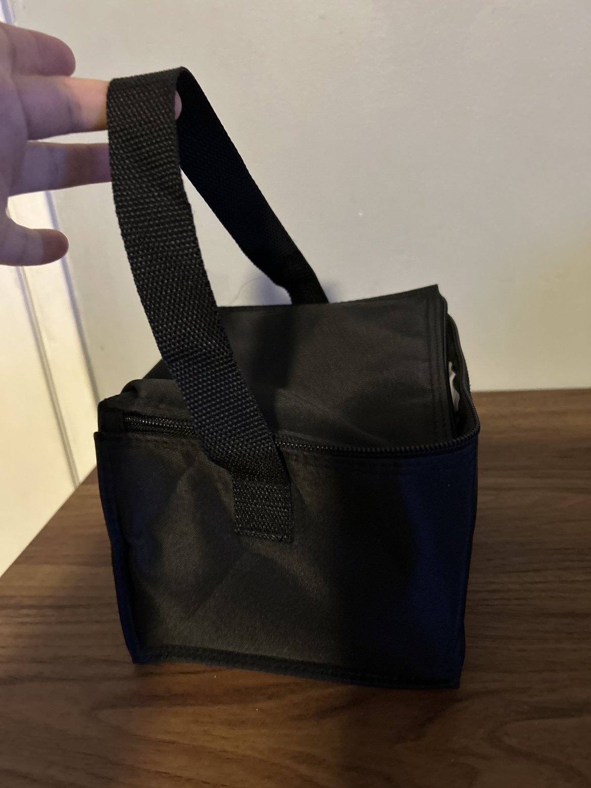 Ameda Cooler Bag #freecycle - photo 3