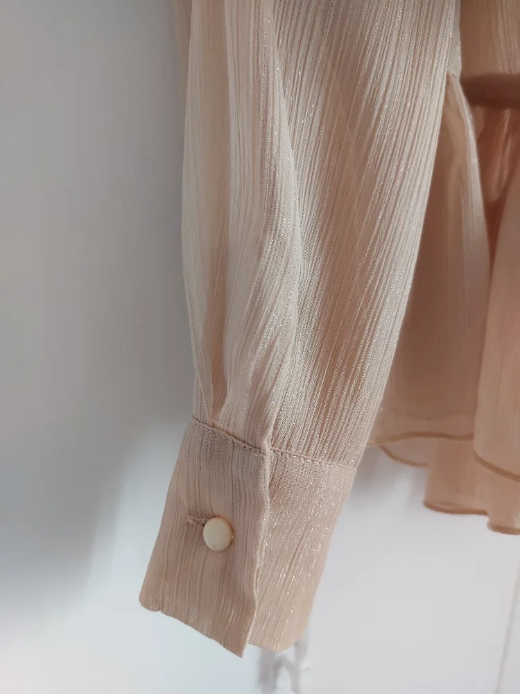 Beige Sheer Ruffle Blouse image indicator(3)