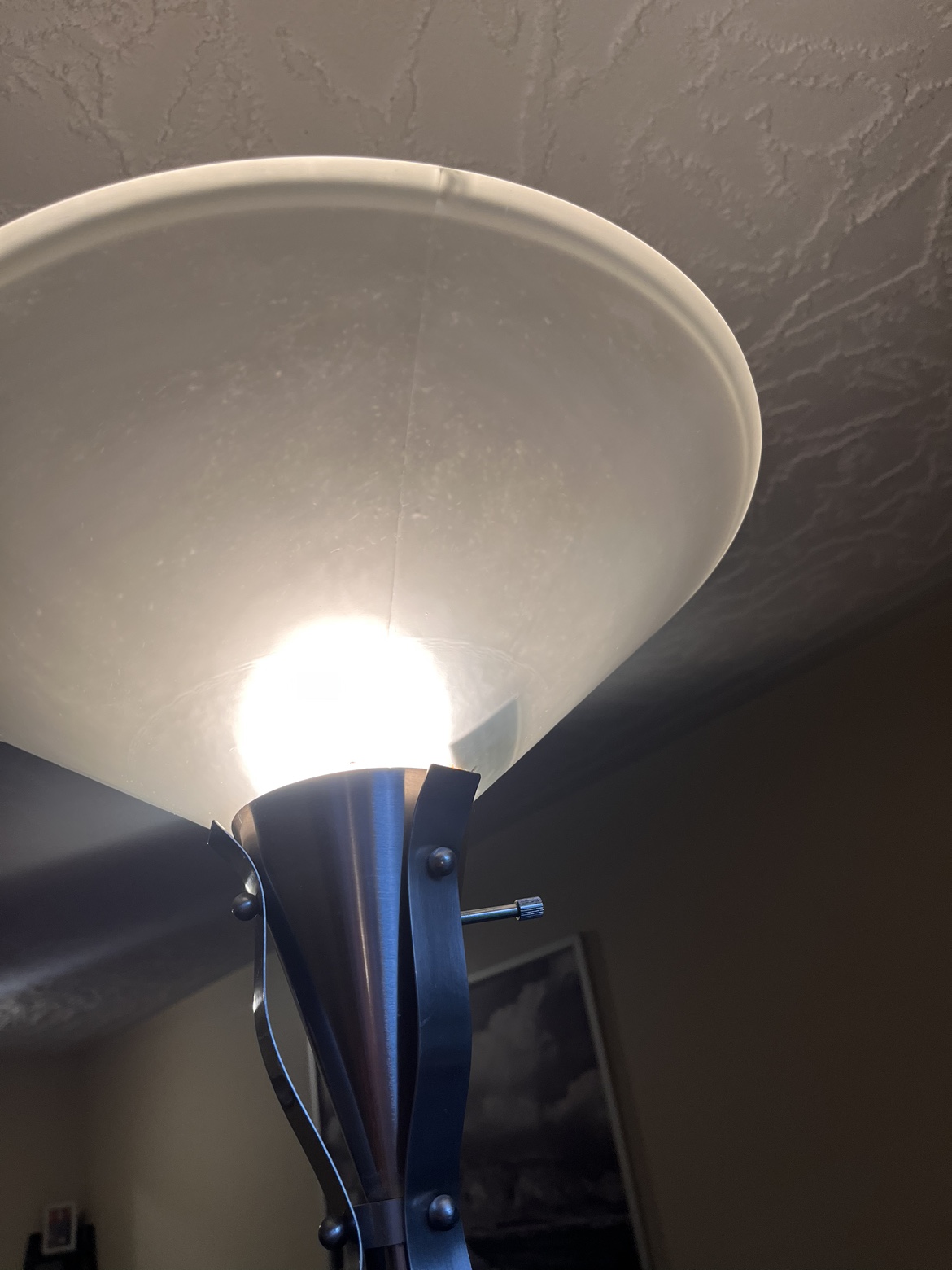 Floor Lamp - photo 5