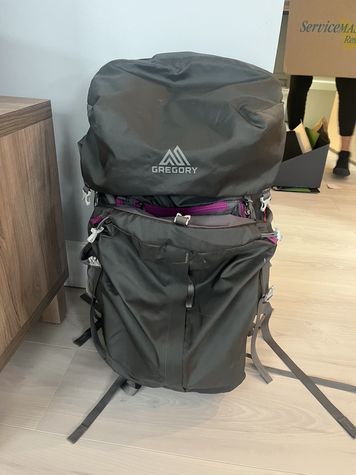 Gregory Baltoro 65L Backpack