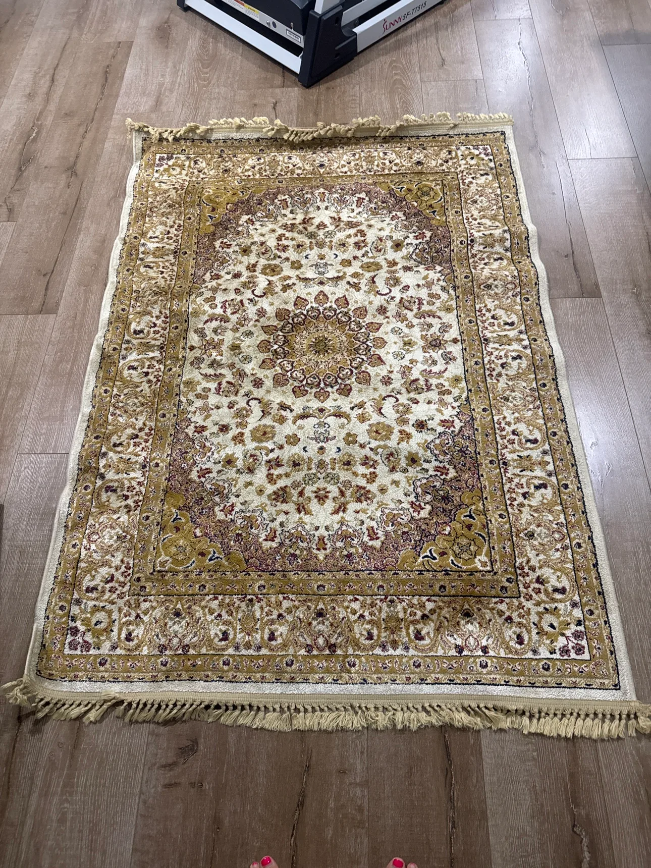 Persian Rug image indicator(2)