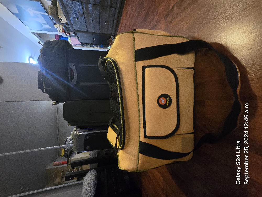 Pet Travel Carrier