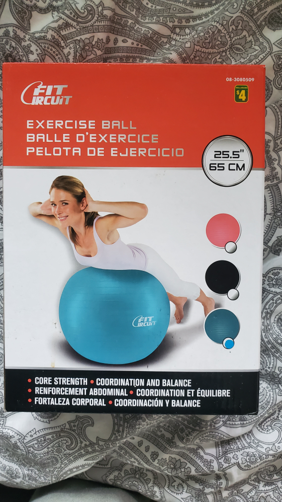 Fit Circuit Exercise Ball