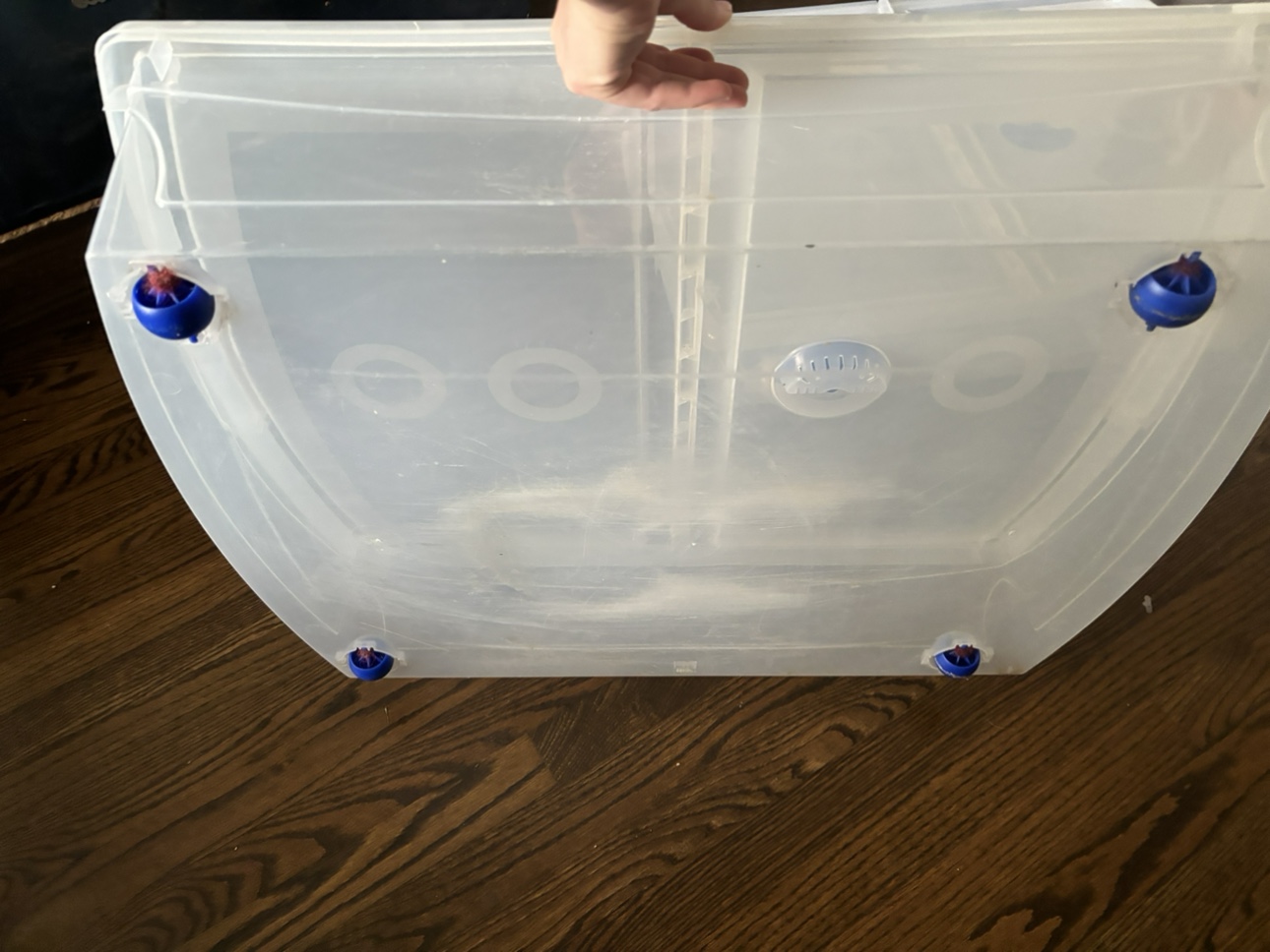 Clear Storage Bins - photo 2