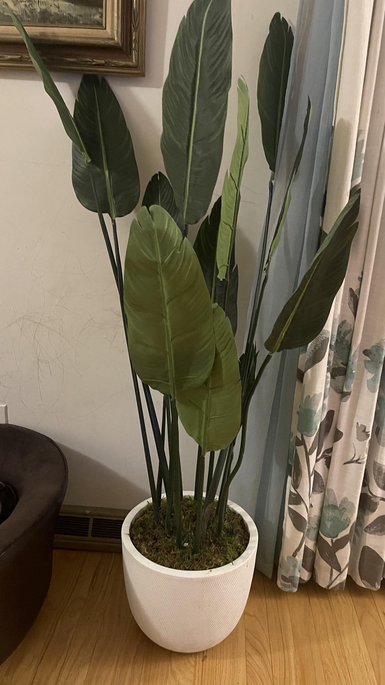 Artificial Plant in White Pot