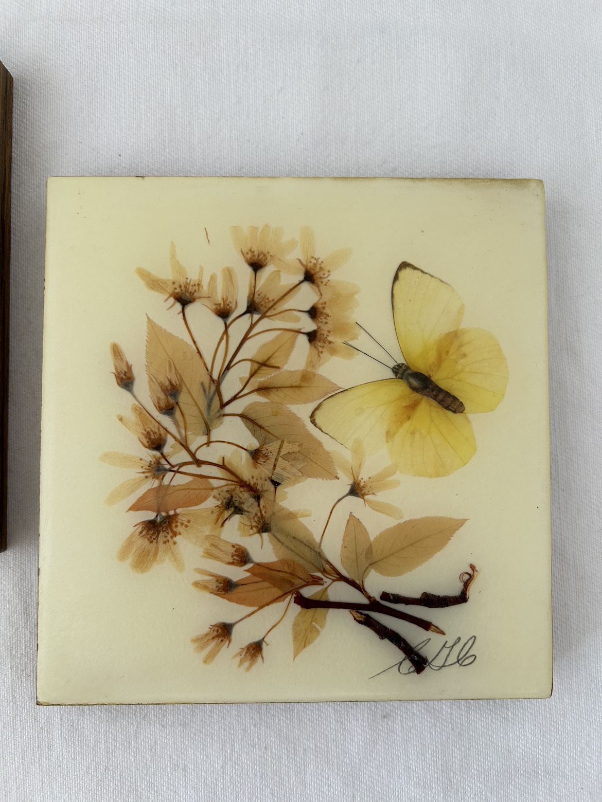 Set of Two Pressed Flower Art #freecycle - photo 5
