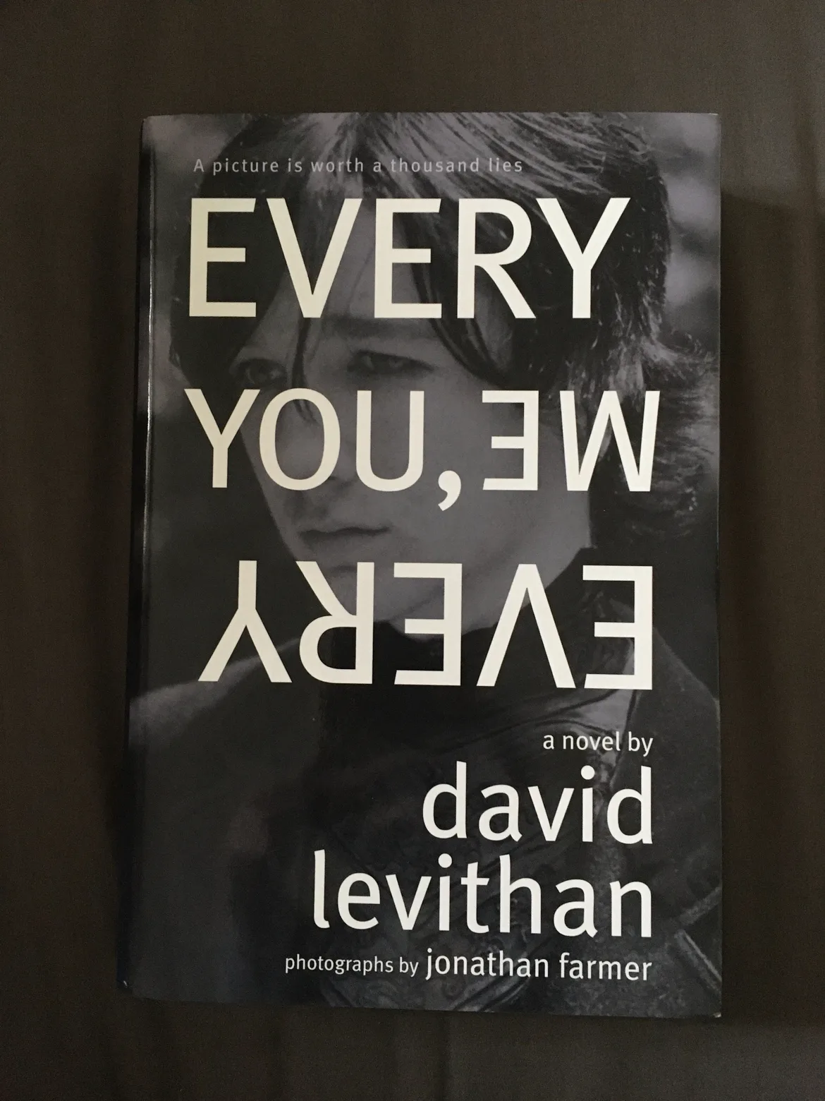 BOOK BUNDLE - Teen Fiction - David Levithan image indicator(4)