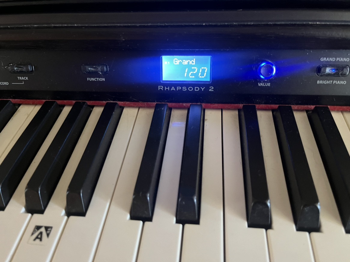 Williams Rhapsody 2 Digital Piano - photo 3