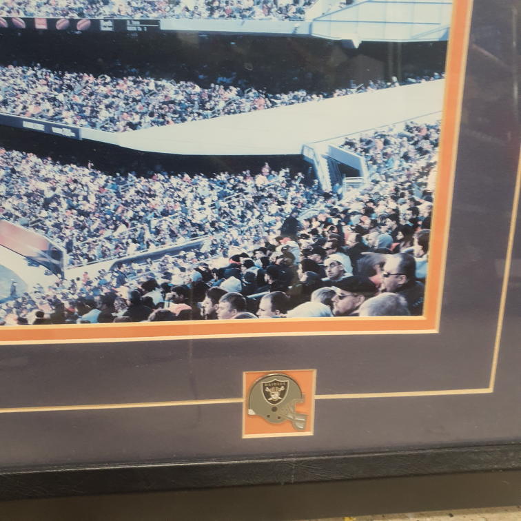 Chicago Bears vs Raiders (1st Day Game new stadium) - photo 5