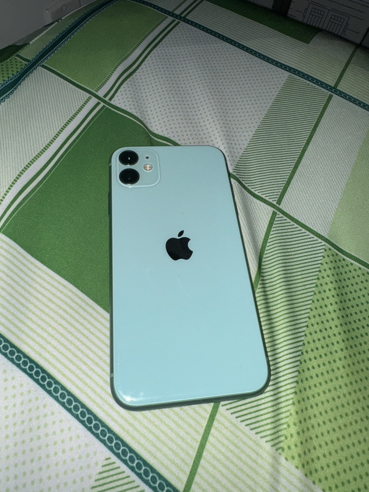 iPhone 11 64GB Mint Green