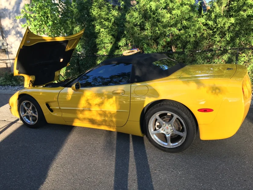 2002 Chevrolet Corvette Convertible image indicator(3)