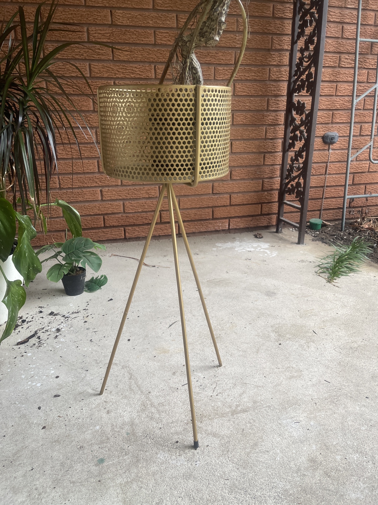 Gold Plant Stand