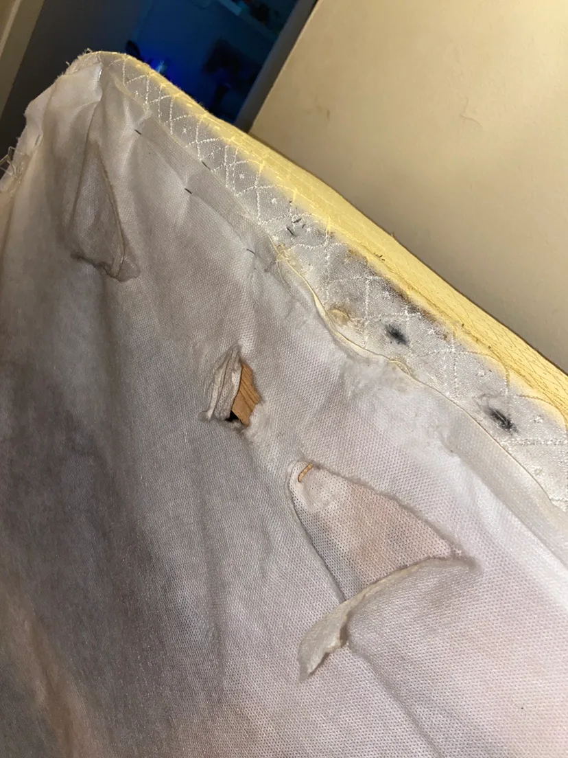 double bed box spring 🧡 image indicator(4)