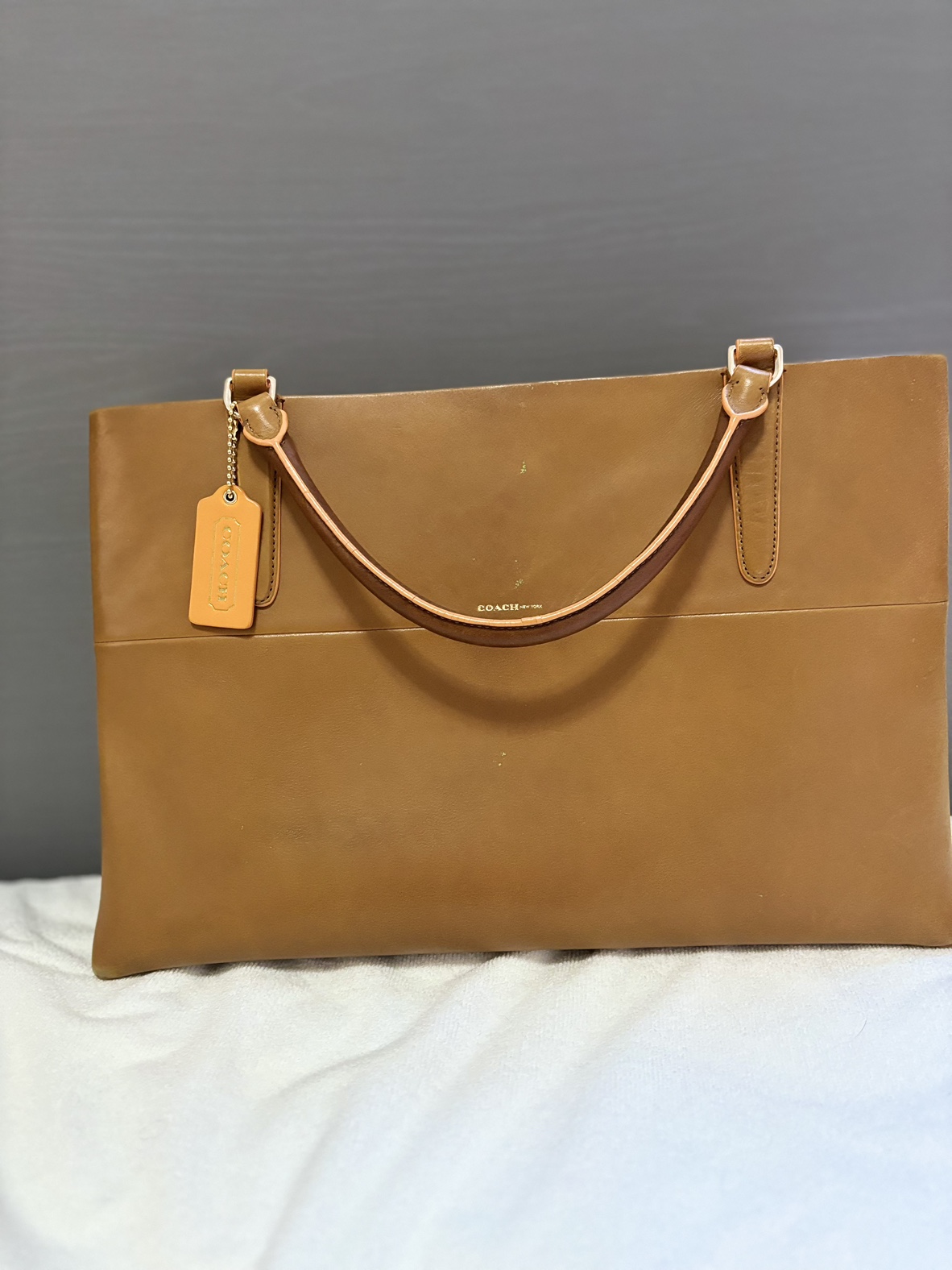 Coach bag and green purse