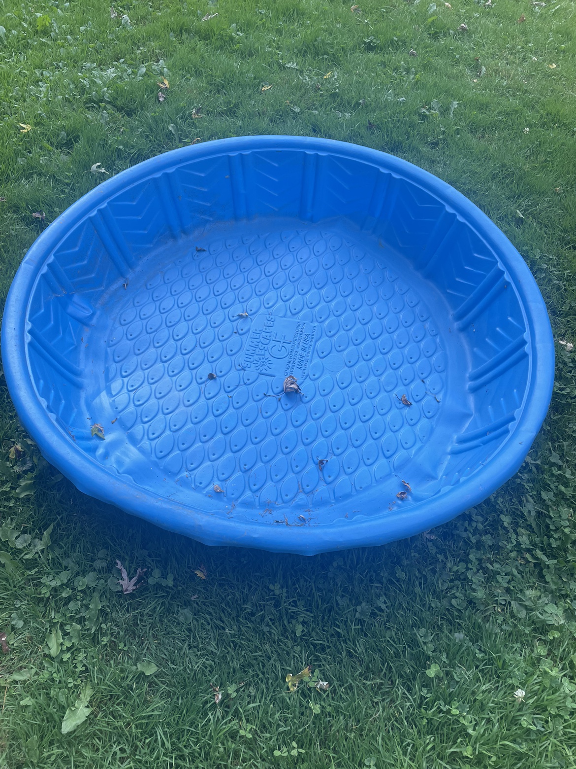 Kiddie pool