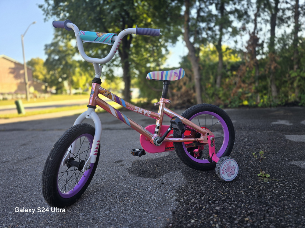 Paw Patrol Skye Kids Bike
